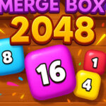Bubble Shoot Merge Box 2048